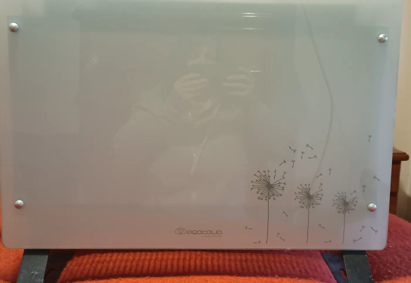 Panel convector vitrocerámico